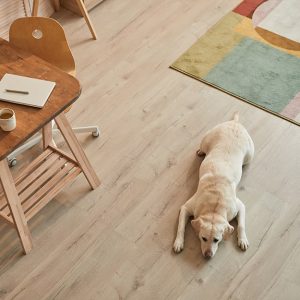 Stanza vista dall'alto con un cane sdraiato su un parquet chiaro, un tappeto colorato a motivi geometrici e una scrivania in legno su cavalletti