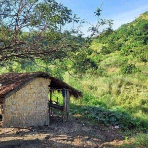 Casetta in legno immersa nella natura in un villaggio tradizionale del popolo