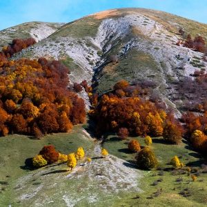 Delle montagne punteggiate di alberi dai colori autunnali nel Parco Nazionale d'Abruzzo, nei pressi di Pescasseroli