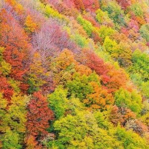 Versante di una montagna