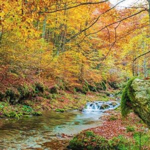 Scorcio delle cascate