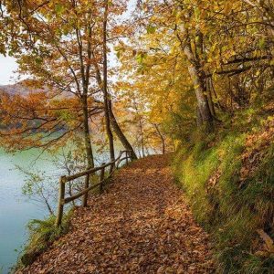 Un sentiero che passa accanto al lago di Brugneto, nel Parco