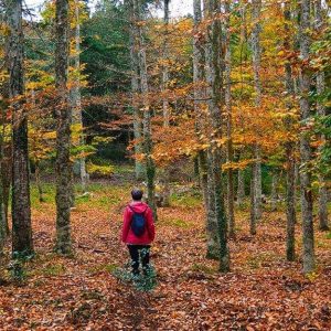 Un'escursionista con la giacca rossa vista di spalle all'interno del bosco dei Fiorentini, in Sardegna, in autunno