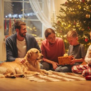 Una famiglia felice composta da padre, madre e