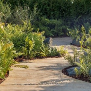 Un sinuoso vialetto in legno tra le piante di un giardino lussureggiante