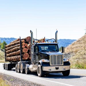 Un camion sta trasportando dei tronchi di legno su una strada di montagna